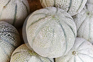 Galia melon, Netted melon