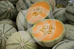 Galia melons