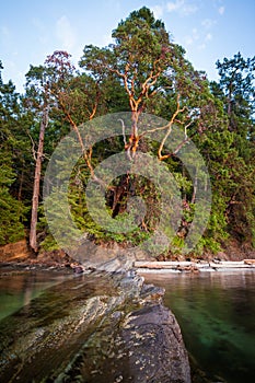 Galiano Island in the Gulf Islands, British Columbia