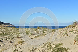 Sand dunes with grass and vegetation on a beach with blue sea. Sunny day, clear sky, Galicia, Spain.