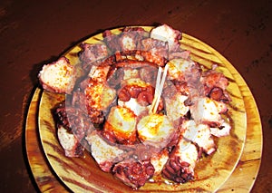 Galician octopus photo