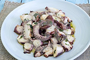 Galician octopus photo