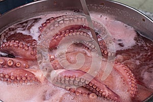 Octopus cooked in the traditional way of Galicia, Pulpo ÃÂ¡ Feira photo