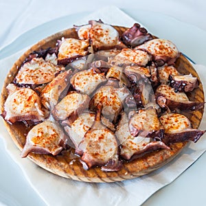 Galician style octopus, pulpo a la gallega