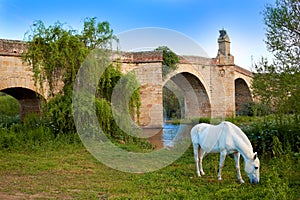 Galisteo village in Caceres of Extremadura