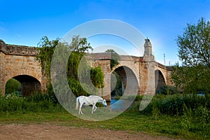 Galisteo village in Caceres of Extremadura photo