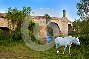 Galisteo village in Caceres of Extremadura photo