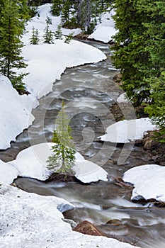 Montana mountain stream with isolated pine tree and snowy river banks photo