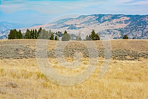 Gallatin Range meadow, Yellowstone National Park, Wyoming