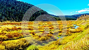 The Gallatin River as it runs through the western most part of Yellowstone National Park photo