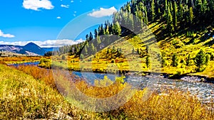 The Gallatin River as it runs through the western most part of Yellowstone National Park photo