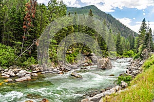 The Gallatin River Flowing Through the Mountains of Montana