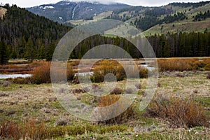 Gallatin River Valley in Yellowstone National Park photo