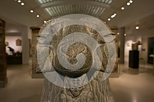 Goats head. The galleries of Ancient Egypt and Sudan, Ashmolean museum