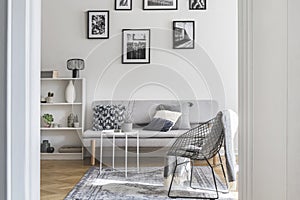 Gallery of black and white posters on the wall of classy living room interior