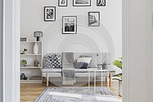 Gallery of black and white posters on the wall of classy living room interior