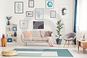 Gallery in bright living room