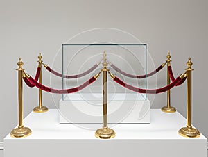 Gallery Display with Velvet Rope and Pedestals