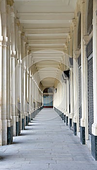 Gallery garden of the Palais Royal (Paris France)