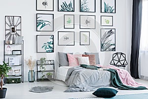 Gallery with simple posters hanging on the wall in bright bedroom interior with many pillows on bed, fresh plants and plastic chai