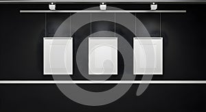 Gallery Wall with Three Frames and Spotlights in Black and White