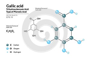 Gallic acid. Structural Chemical Formula and Molecule 3d Model. Atoms with Color Coding. Vector