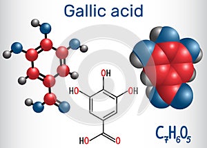 Gallic acid trihydroxybenzoic acid molecule, is phenolic acid,