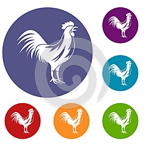 Gallic rooster icons set