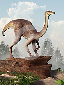 Gallimimus