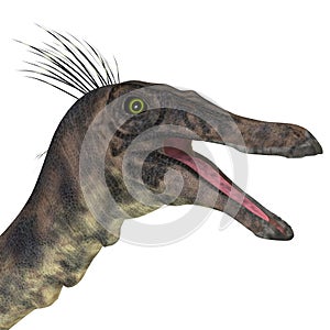 Gallimimus Dinosaur Head