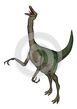 Gallimimus dinosaur roaring - 3D render