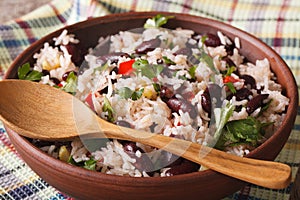 Gallo Pinto: rice with red beans in a bowl close-up. horizontal photo
