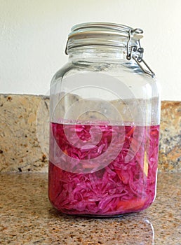 Gallon Jar Cultured Red and Green Cabbage and Carrots