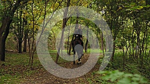 Gallop in park: Young female rider on the horse on a shady forest gallop. Horseback riding on a sunny day. Horse riding