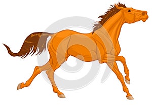 Galloping chestnut thoroughbred horse. photo