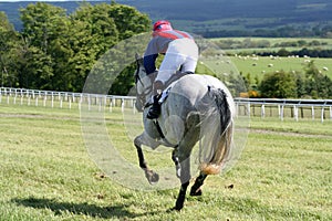 Galloping grey