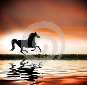 Galloping horse