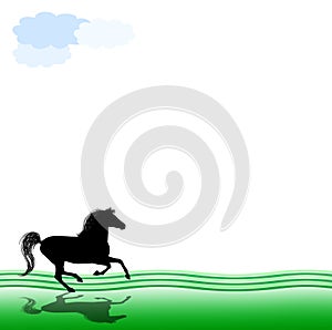 Galloping horse photo