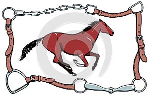 Galloping horse or bay color mustang in bridle leather belt frame.