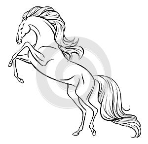 Galloping horse with long mane and tail photo