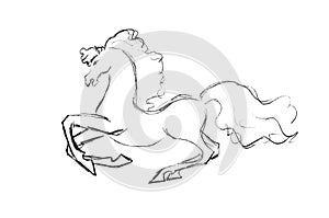 Galloping horse pencil drawing isolated on white background