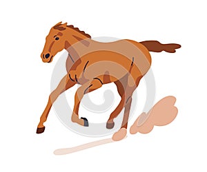 Galloping horse running fast. Thoroughbred stallion in motion. Powerful equine breed kicking up dust, rushing with speed photo