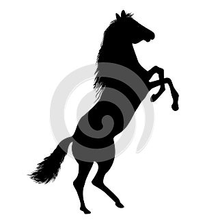 Galloping horse vector.Horse silhouette.