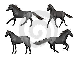 Galloping horses. Realistic running animals saddle horse beauty brown power animal decent vector illustrations