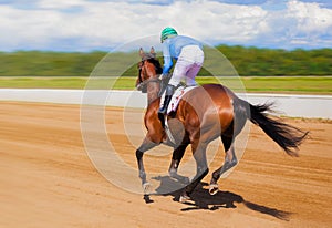 Galloping race horse in racing competition. Jockey on racing horse. Sport. Champion. Hippodrome. Racetrack. Equestrian