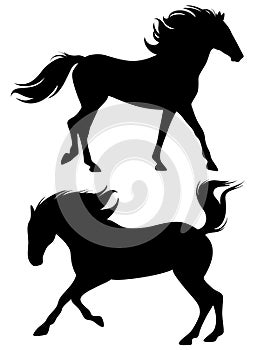 Galloping stallions vector