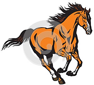 Galloping wild stallion horse vector illustration