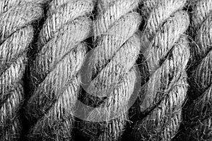 Gallows noose knot black and white image