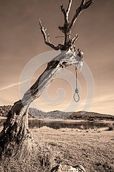 Gallows tree abstract suicide symbol