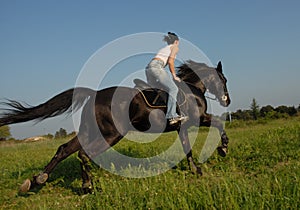 Galop